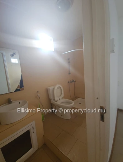  FOR SALE – Duplex with Private Pool in Grand Baie 