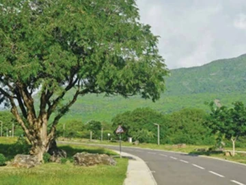 Residential Land