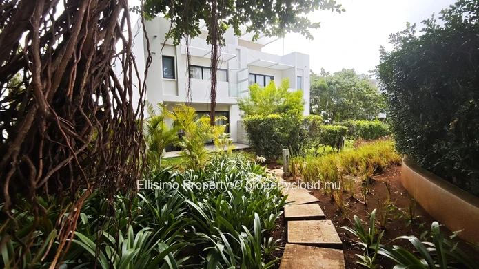 Charming Townhouse in Azuri