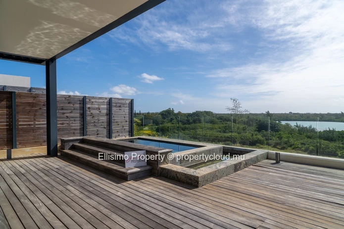 Spacious and Elegant Penthouse with Pool