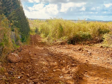 Residential Land