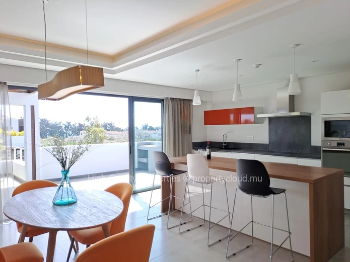 Magnifique Penthouse en vente 