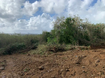 Residential Land