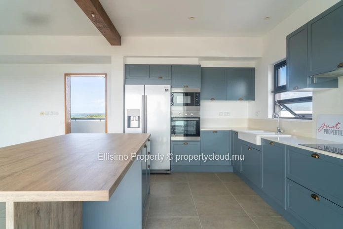 Spacious and Elegant Penthouse with Pool