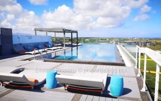 Apartment for Rent – La Croisette