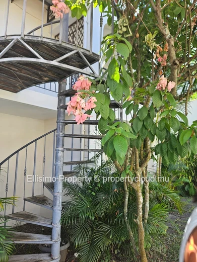 Apartment for Rent in Grand Baie