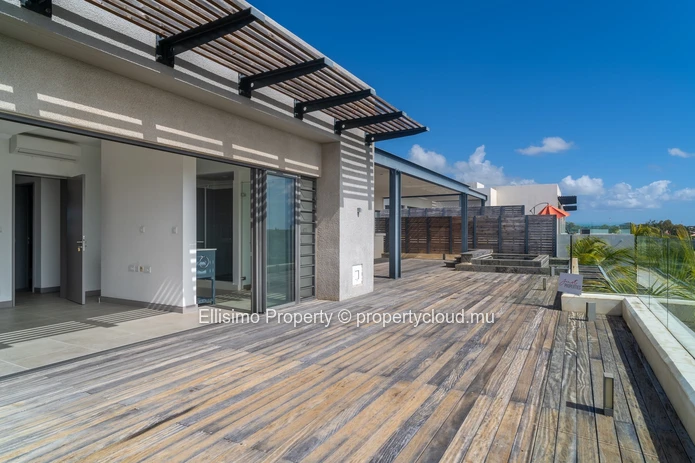 Spacious and Elegant Penthouse with Pool